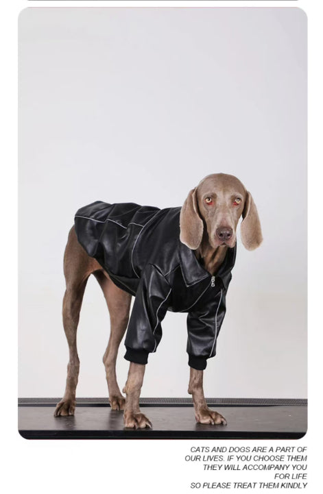 Black dog leather jacket with front zipper and elastic cuffs, standing pose