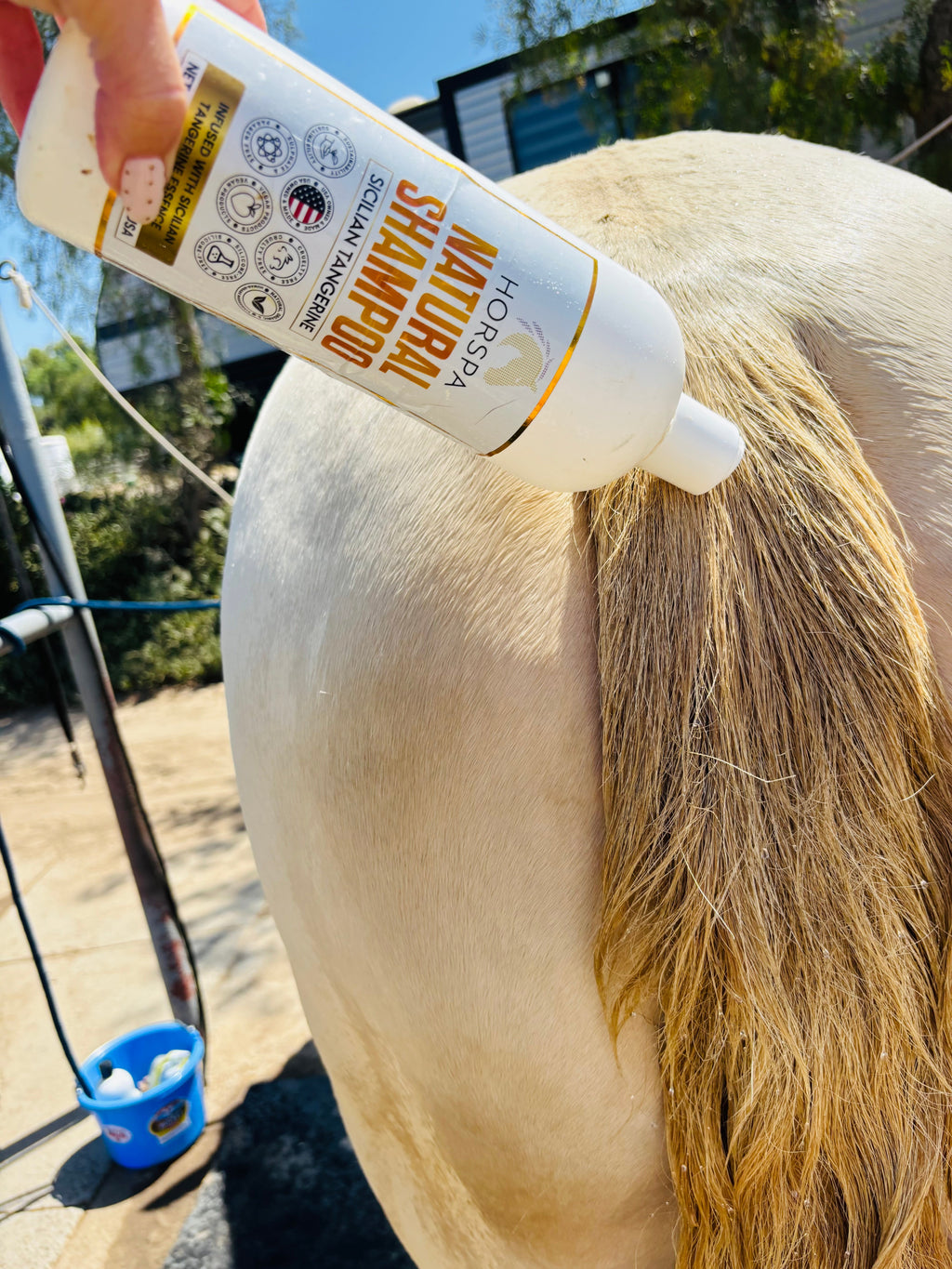 Horspa Natural Shampoo being poured onto a horse mane