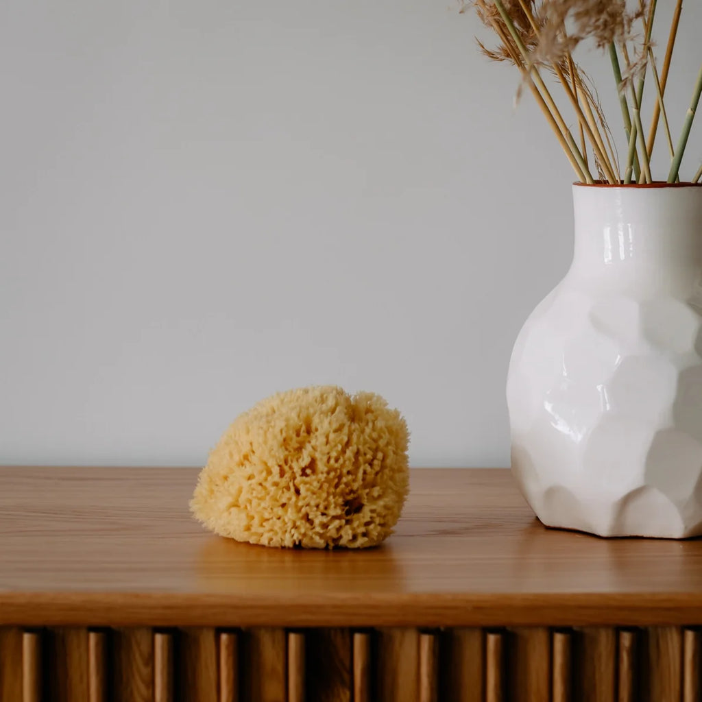 All-natural sea sponge on wooden surface, round yellow sponge with natural texture.