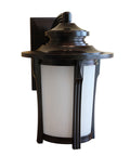 Large outdoor wall lantern with dark bronze frame and frosted glass cylinder
