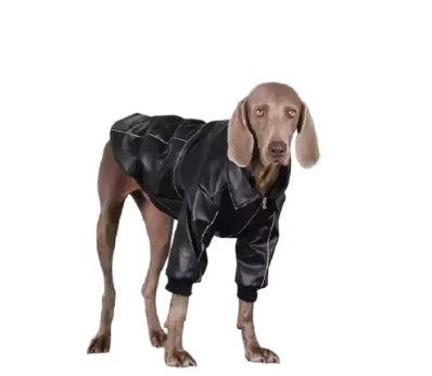 Black dog leather jacket with zipper and elastic cuffs, full-body side-leaning view