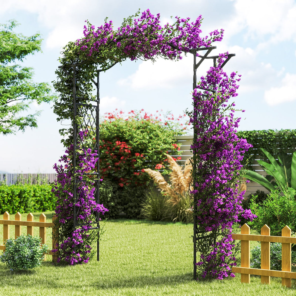 Black metal garden arch trellis with climbing purple flowers on both sides