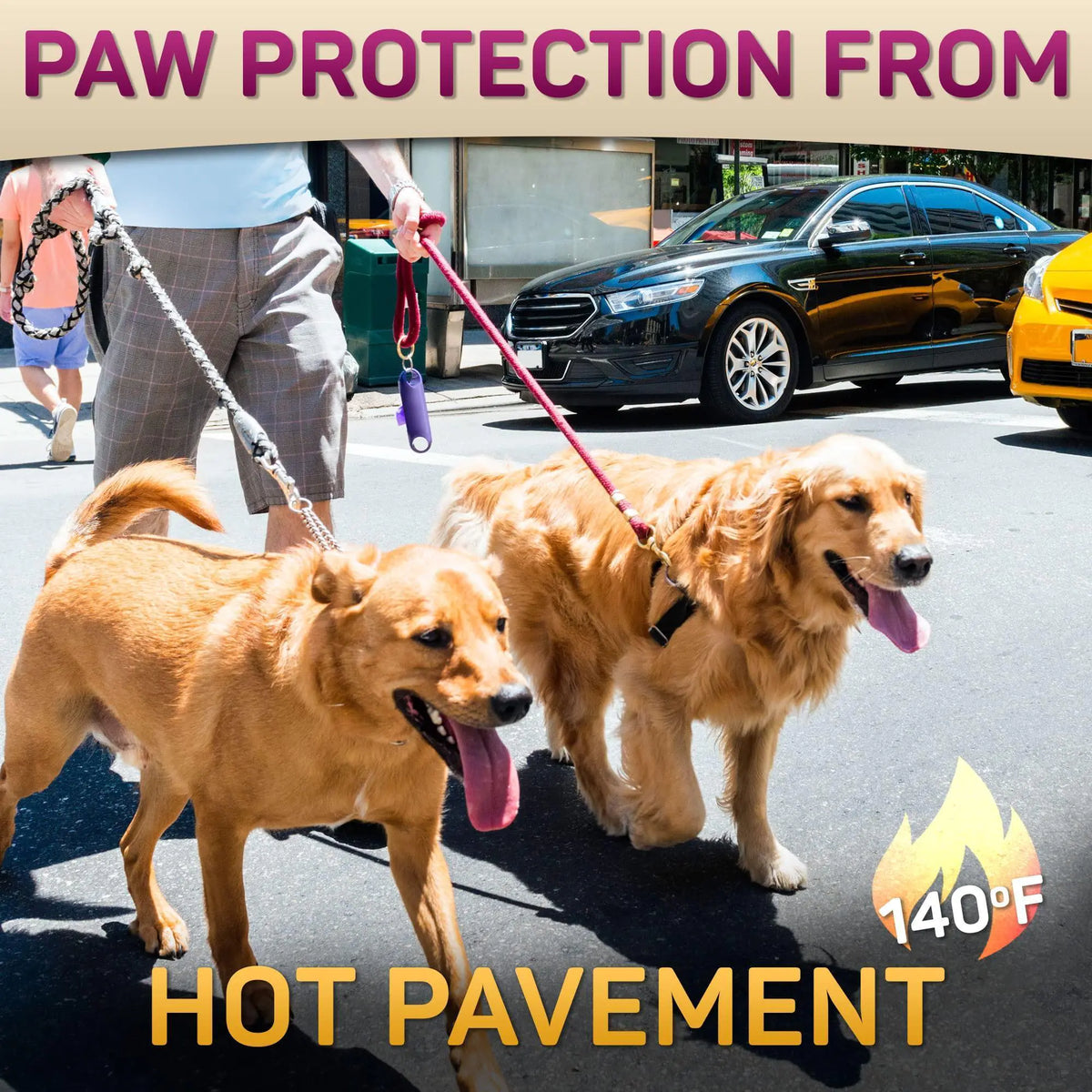 Two dogs walking on hot pavement with paw protection balm for safer paw pads.