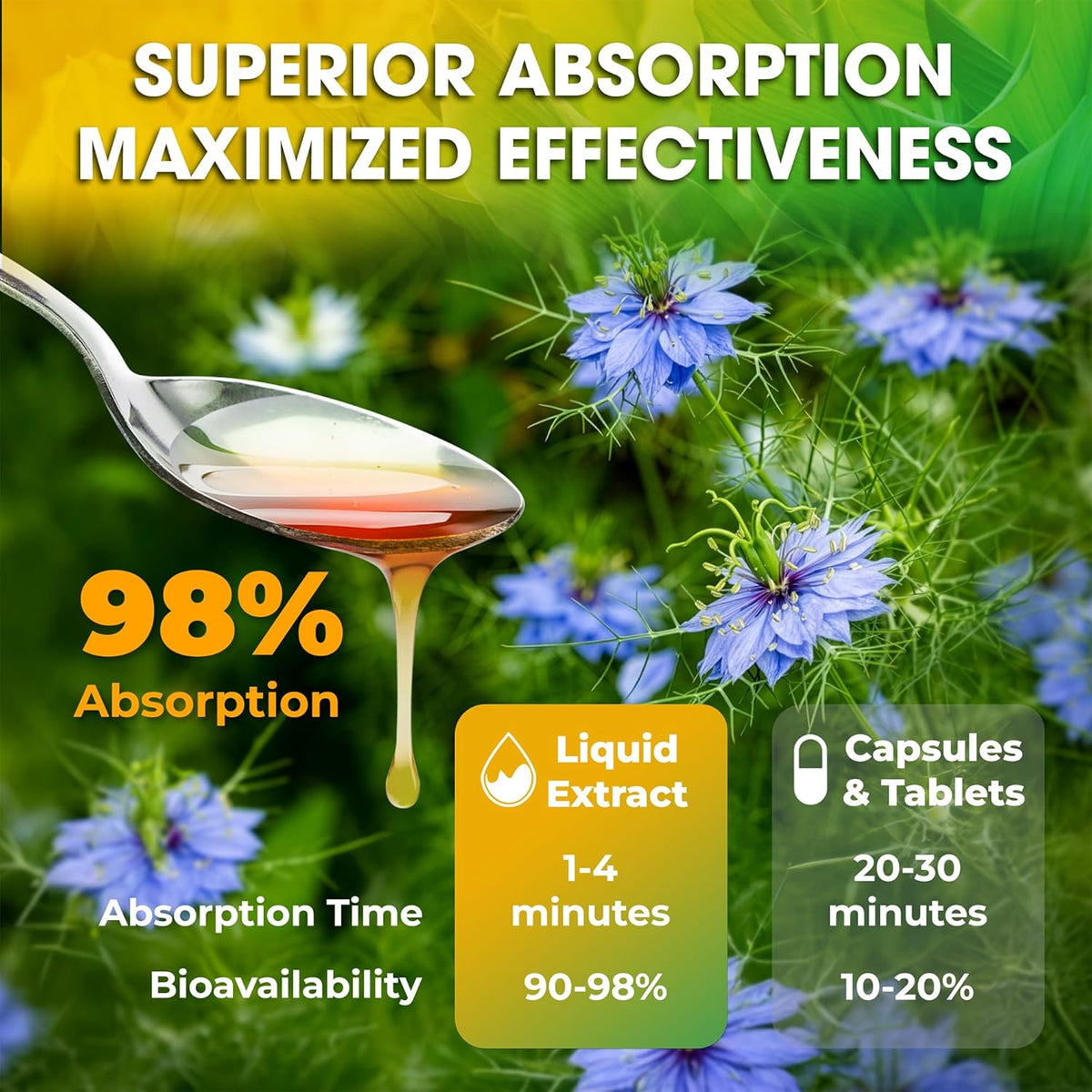 Black seed bitters absorption graphic with liquid spoon and capsules icon.