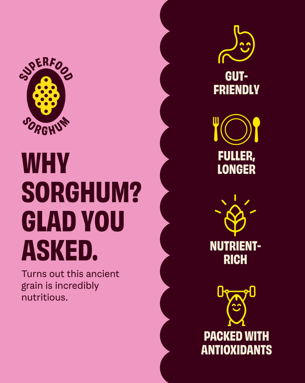 Cob popcorn sorghum benefits infographic with gut-friendly and nutrient-rich icons.