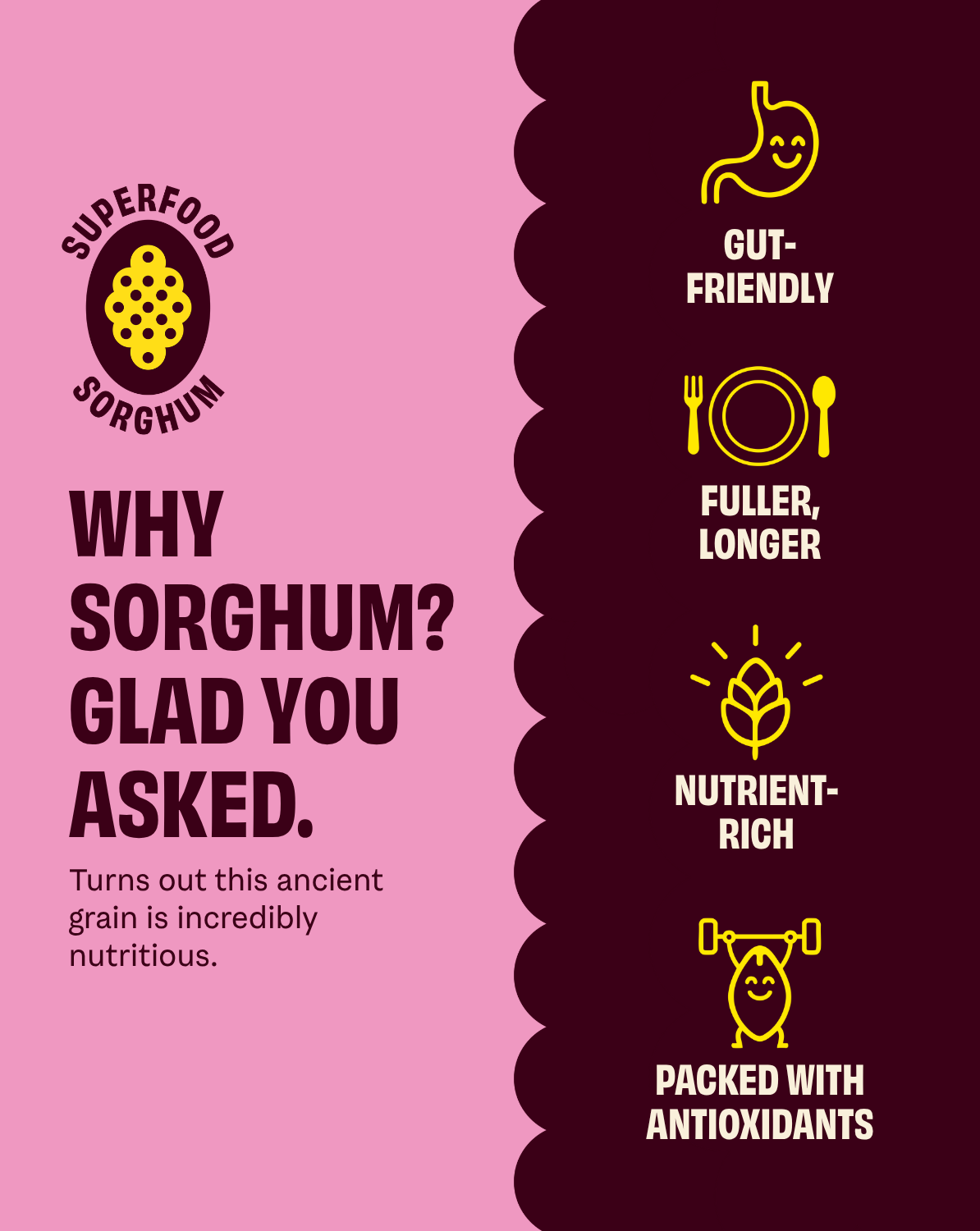 Cob popcorn sorghum benefits infographic with gut-friendly and nutrient-rich icons.