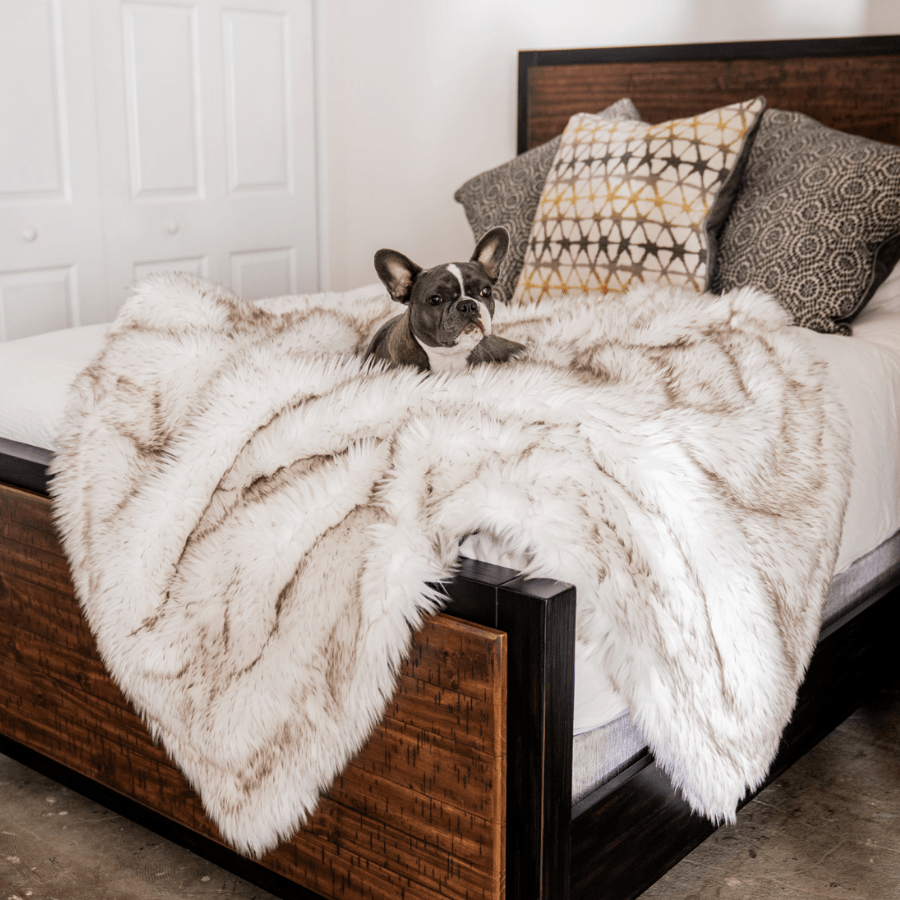 White faux-fur waterproof throw blanket draped over a couch with brown-trim accents