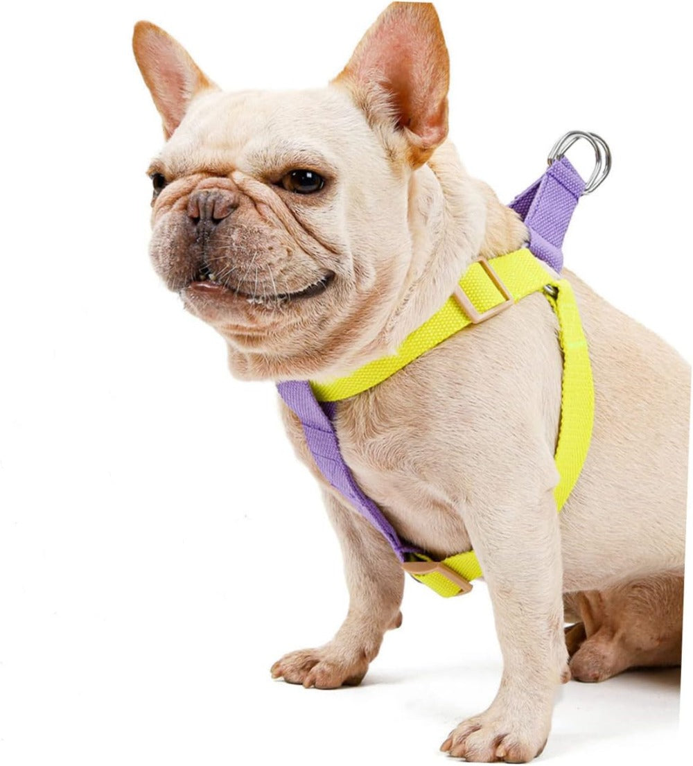 Purple and yellow dog harness with front chest panel and metal leash ring