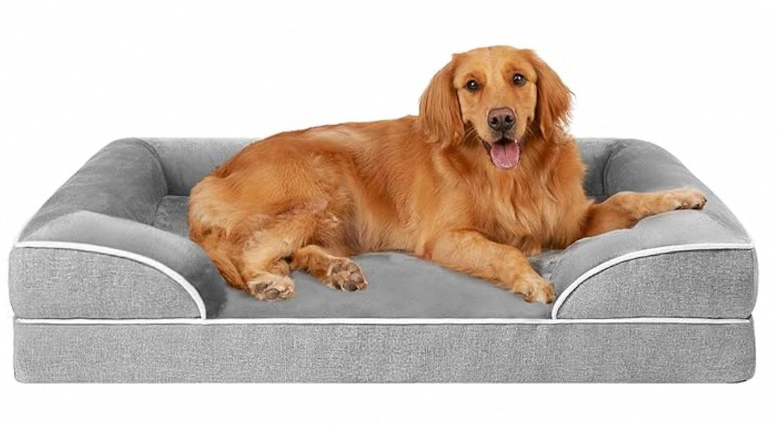 Gray dog bed with white piping and padded edges, with a golden retriever resting