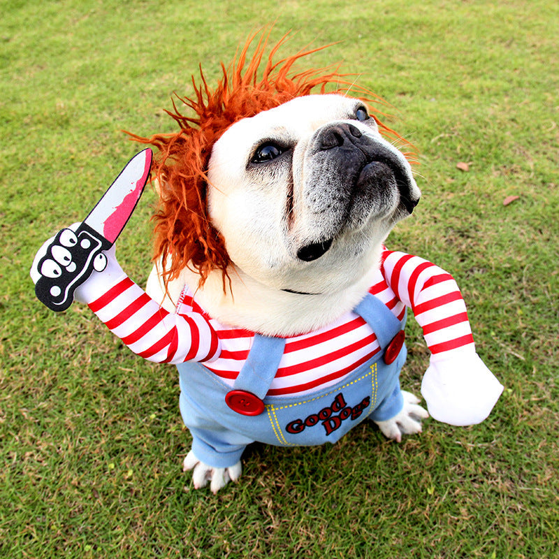 Pet dog Halloween costume on white dog: orange plush hood, red-and-white striped sleeves, blue overalls