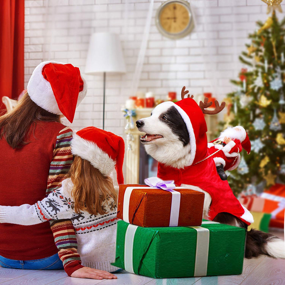 Small dog wearing red Santa hood with white trim and antler-themed details