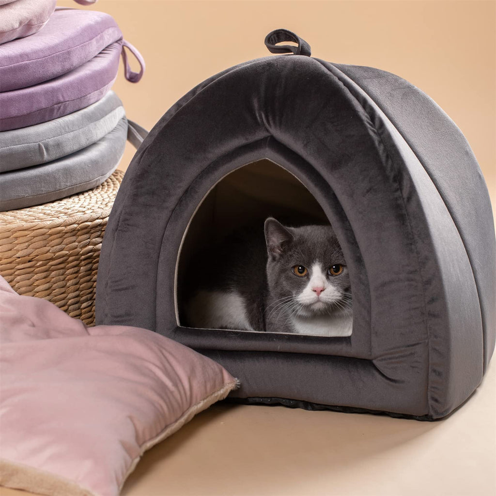 Dark grey pet tent bed with arched entrance and cushioned floor, shown with cat inside