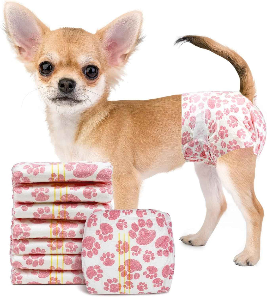 Pink paw-print dog diaper modeled on a small dog beside a stack of diapers.