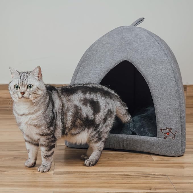Gray pet tent bed with front opening and plush cushion inside, cat standing nearby