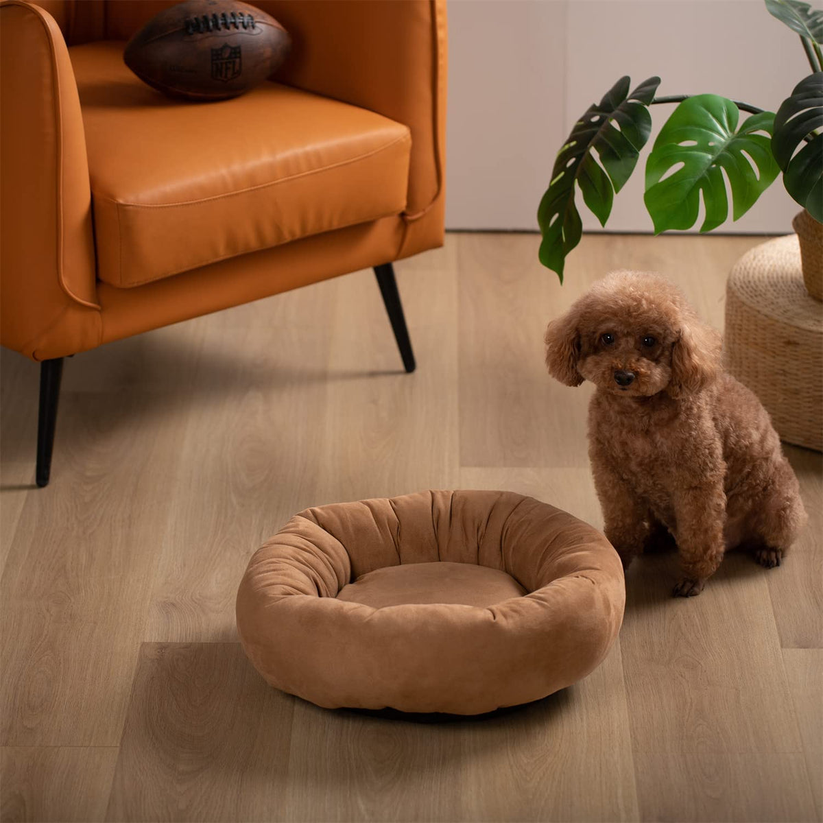 Tan round dog bed cushion with small brown dog sitting beside it.