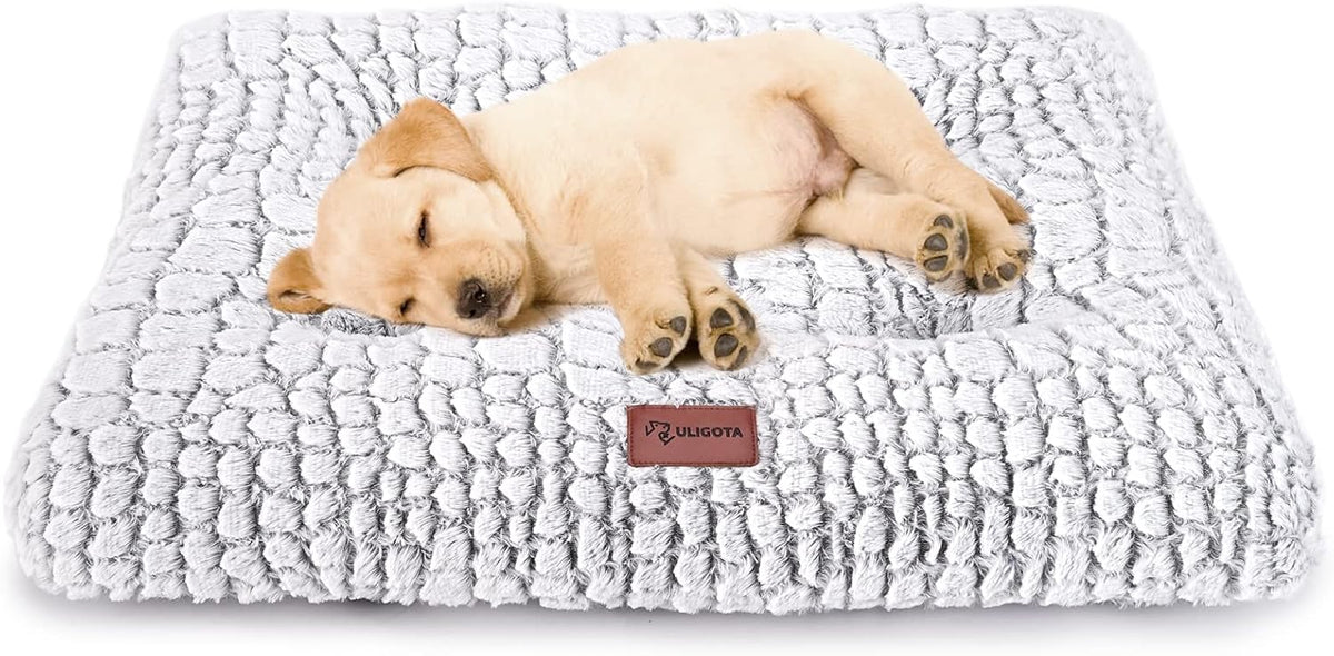 Light gray quilted crate bed with a tan puppy lying on it