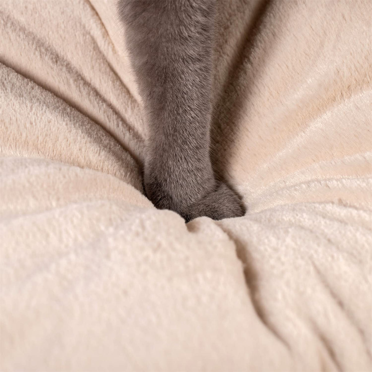 Kasentex cat bed cushion close-up with soft plush fabric upholstery and visible stitched seam