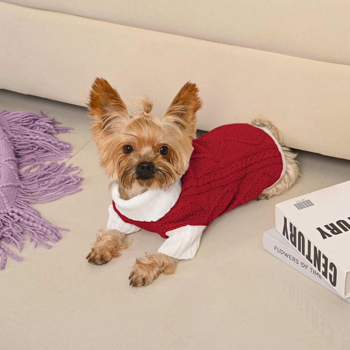 Red dog turtleneck sweater with white ribbed collar and sleeves, cable knit texture