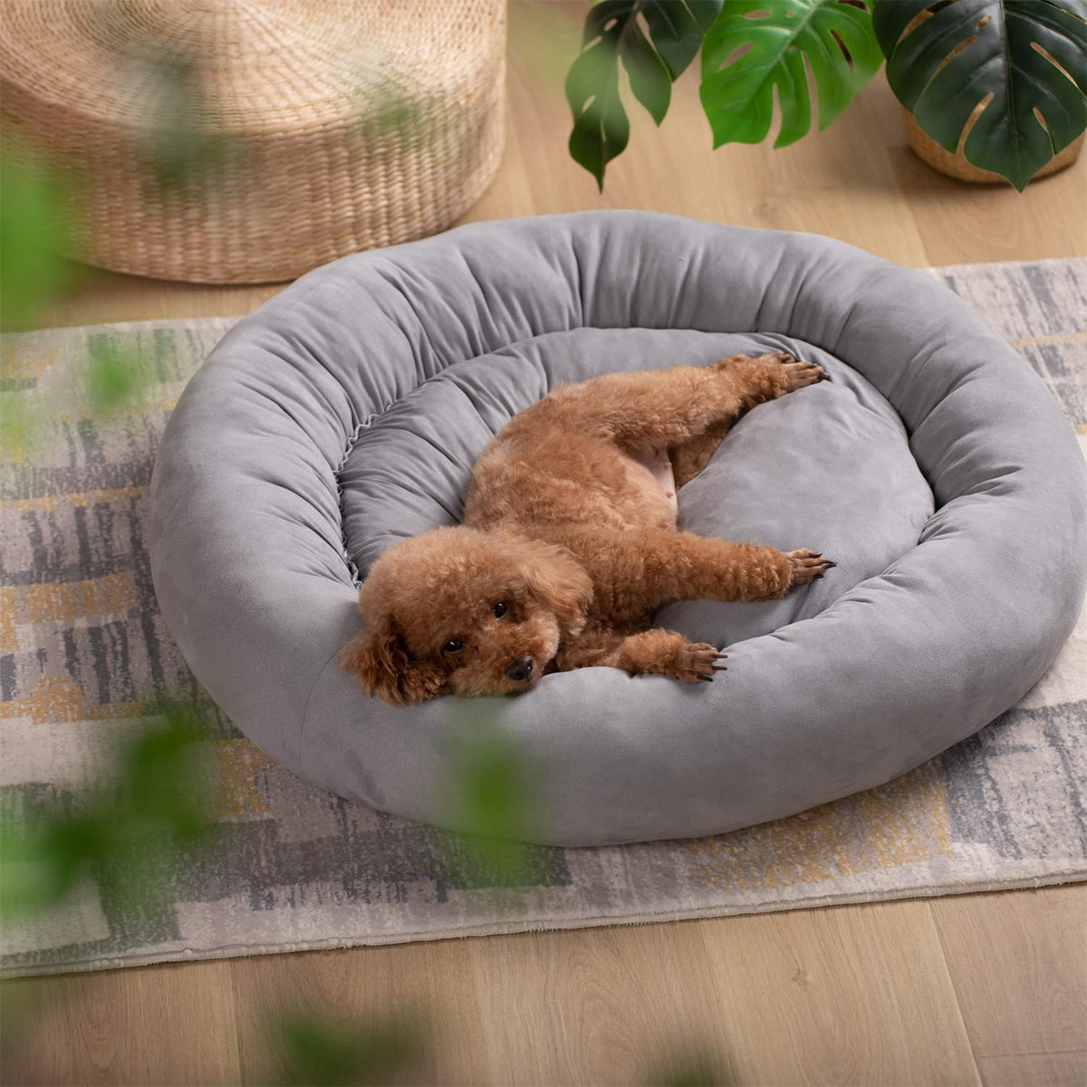 Gray round dog bed cushion with raised edge, brown dog resting inside.