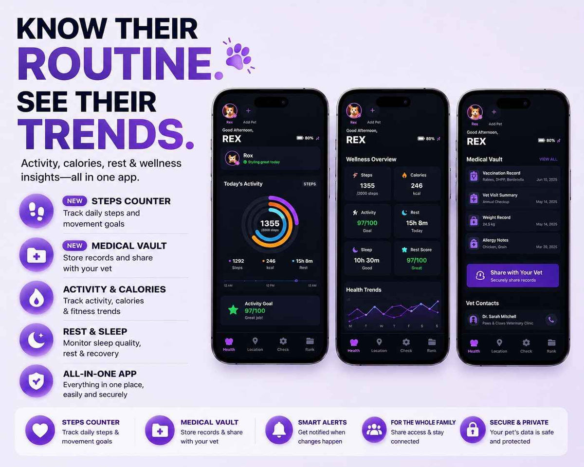 Pet tracker app screens showing activity, wellness, medical records, and alerts