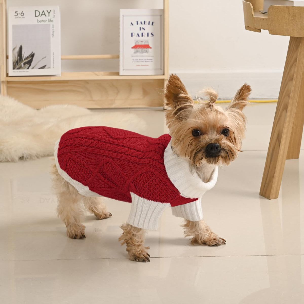 Red dog turtleneck cable knit sweater with white collar and cuffs, argyle texture