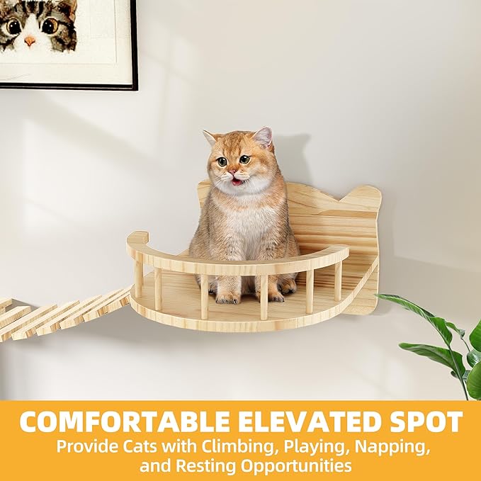 Cat wall shelf round elevated condo perch in light pine with curved front, cat lounging