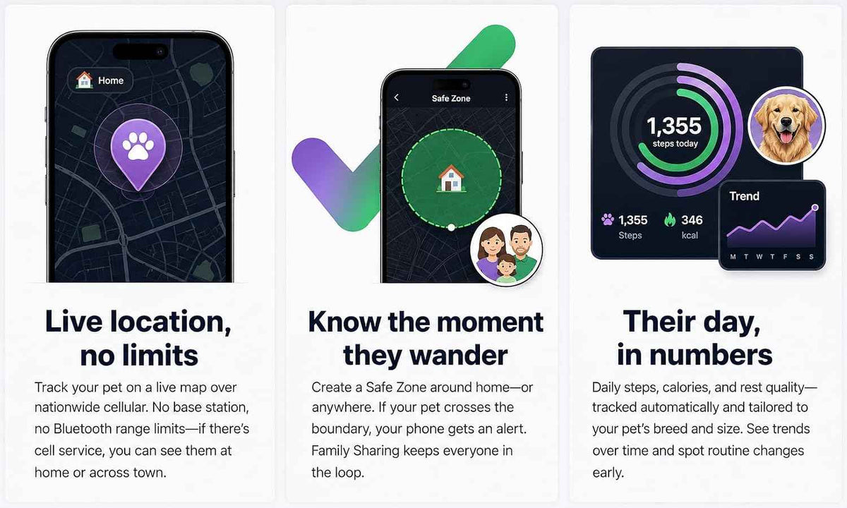 Pet tracking app displays live location, safe zones, and activity trends
