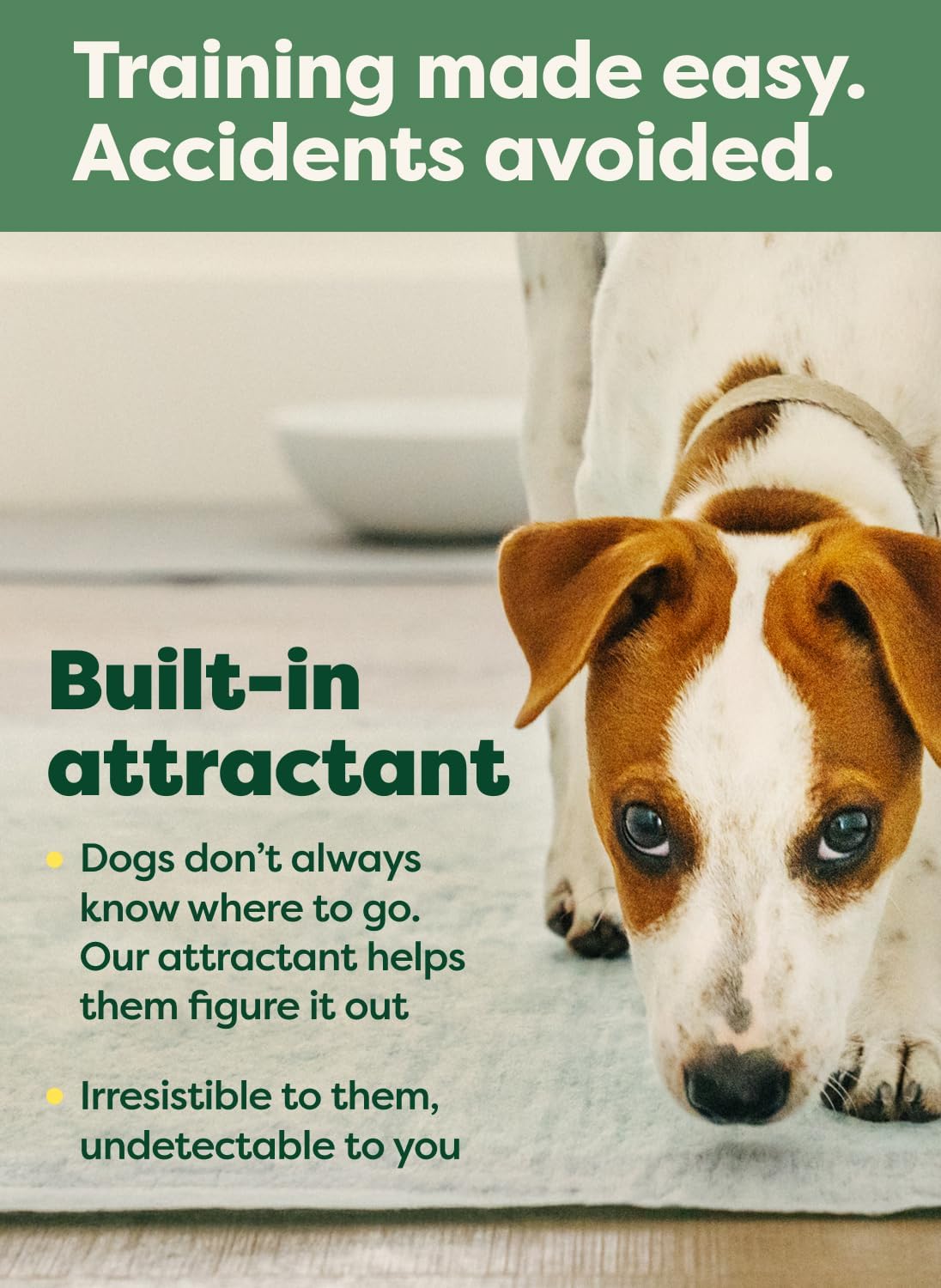 Pee pad training message featuring dog and built-in attractant for easier accidents