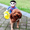 Small dog wearing orange plush hood costume on outdoor walkway