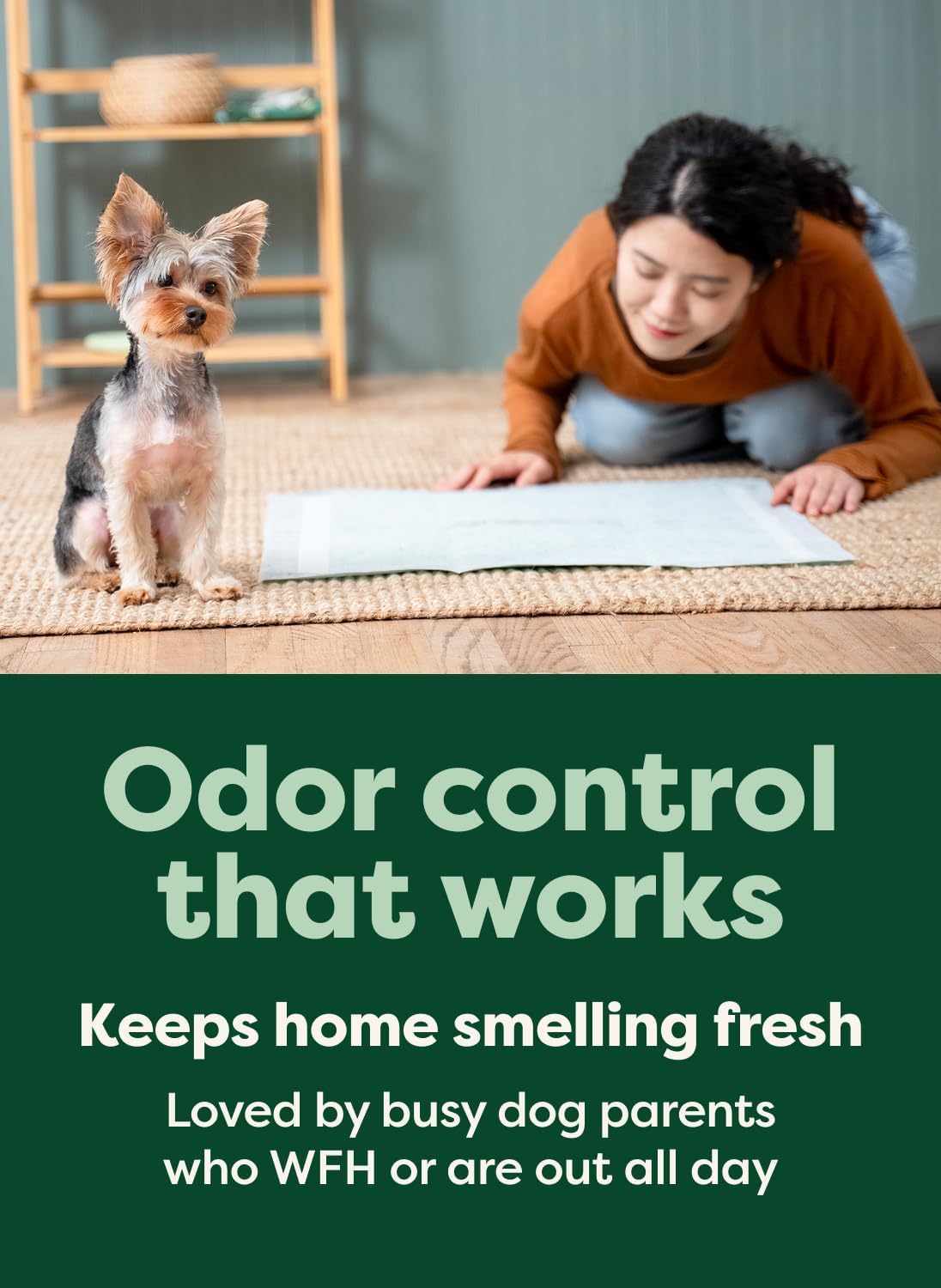 Odor control pee pad promotional graphic with large text about keeping home fresh