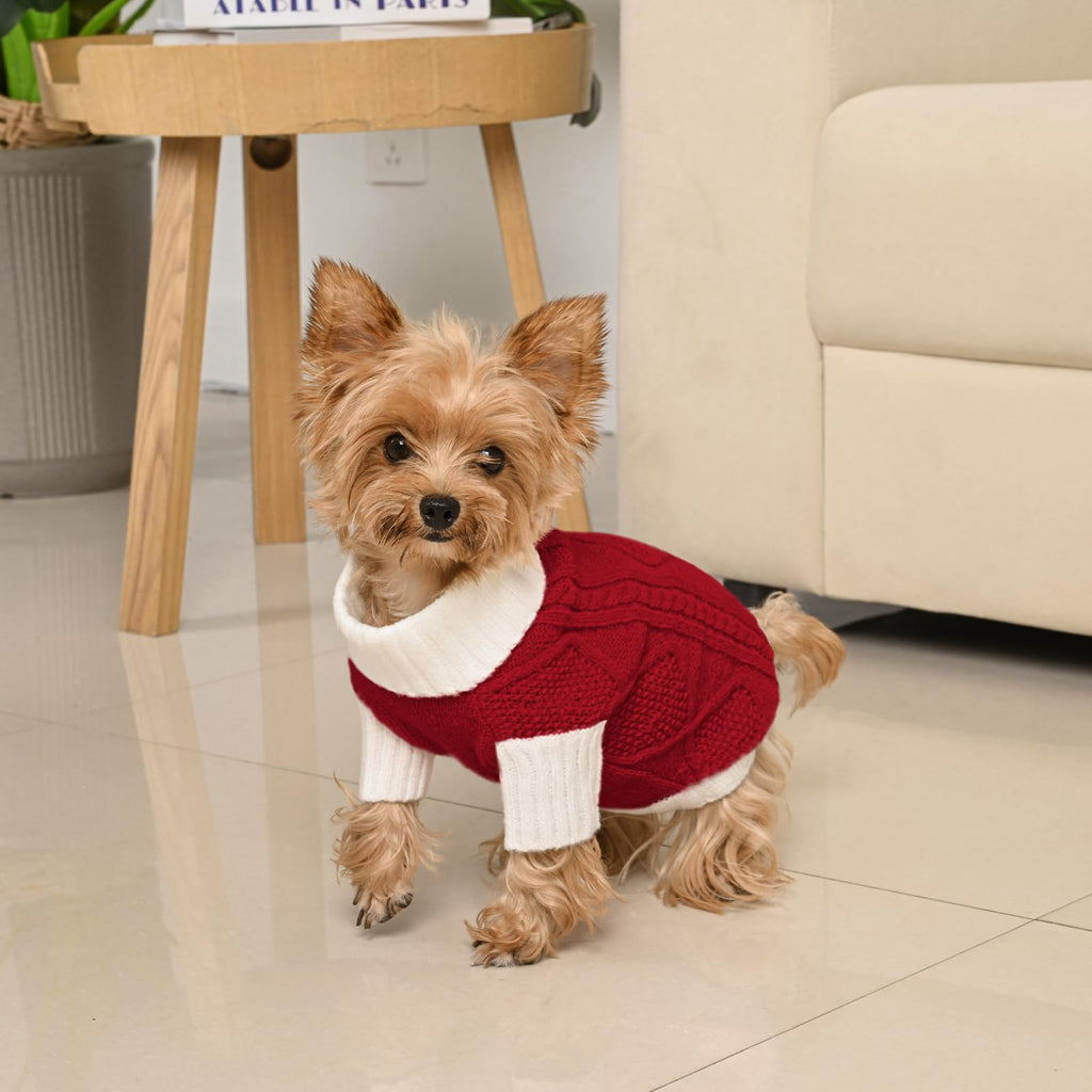 Red cable knit dog turtleneck sweater with white collar and cuffs, fitted dogwear