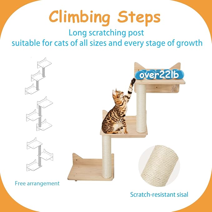 Promotional graphic showing climbing steps with a cat on a wall shelf