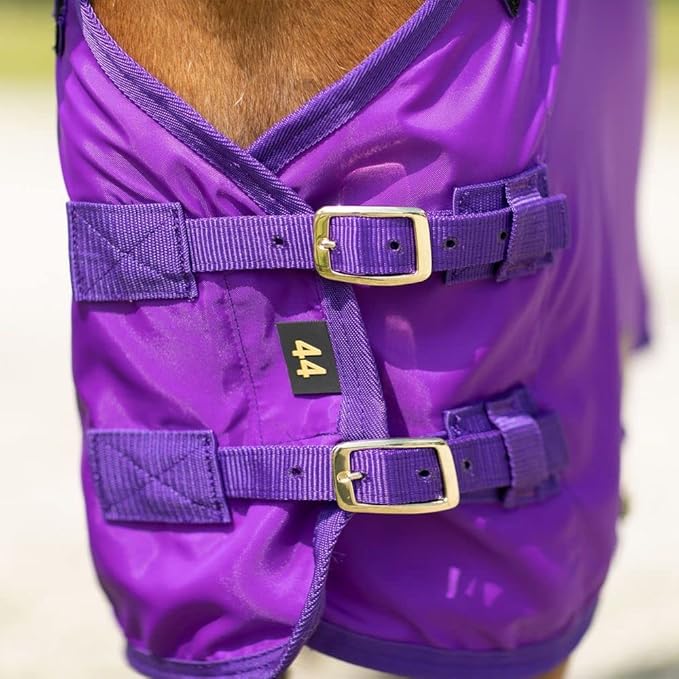 Purple horse sheet chest buckle with two adjustable strap tabs