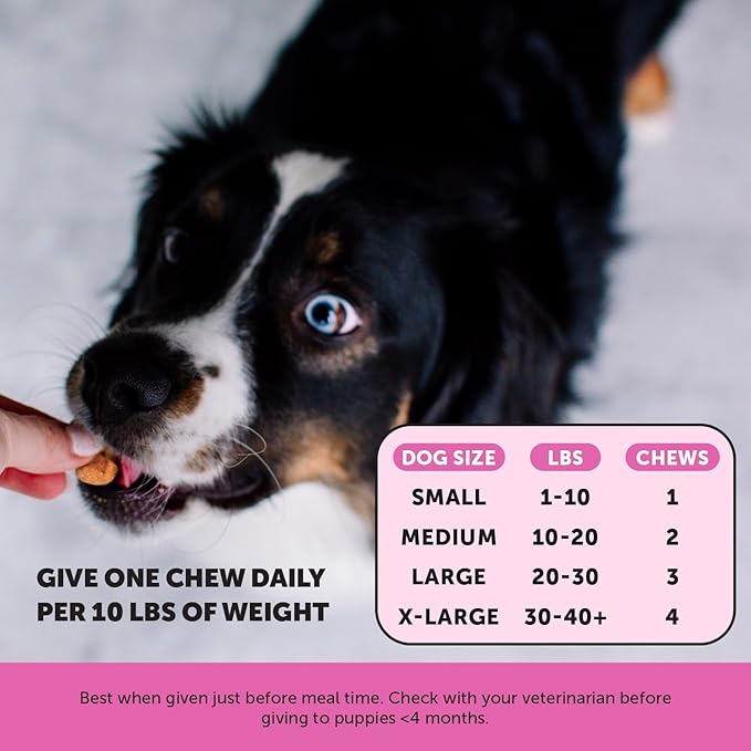Puppy licking a multivitamin chew with dog-size serving chart