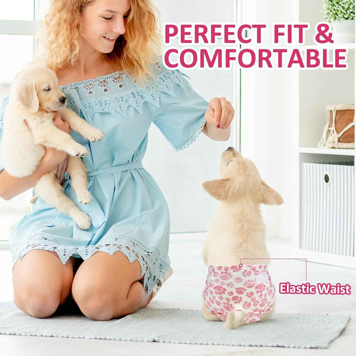 Pink paw-print dog diaper modeled on a small dog, highlighting its elastic waist.