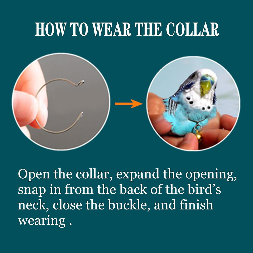 Bird collar shown open and fitted around a budgerigar's neck