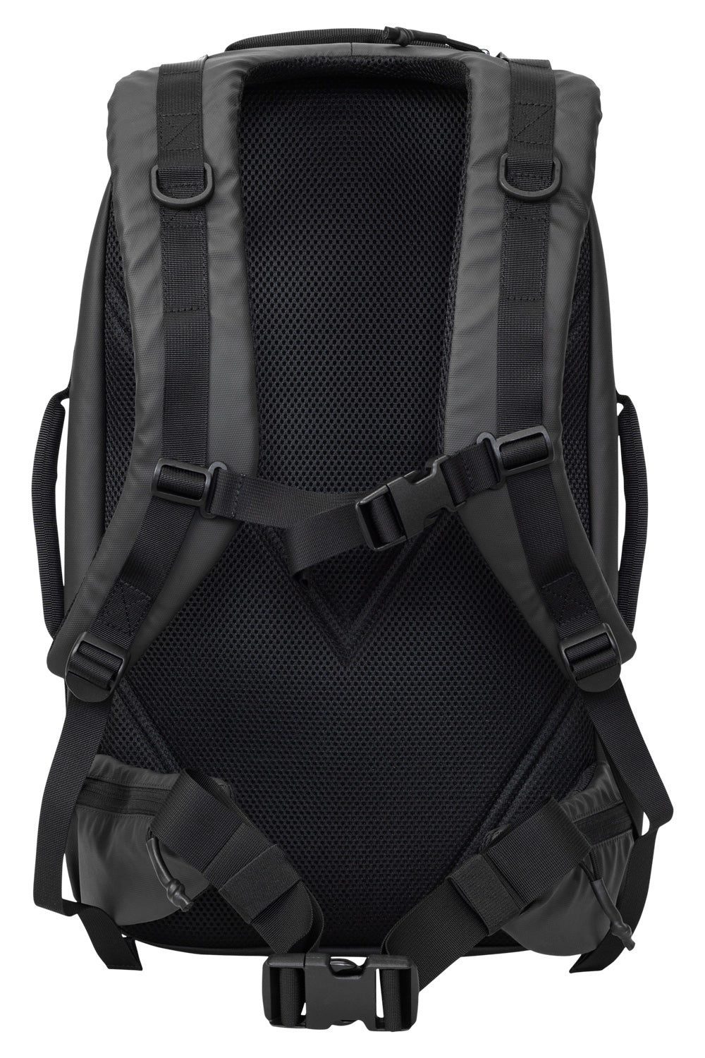 Black backpack back view with breathable mesh insert and adjustable harness straps
