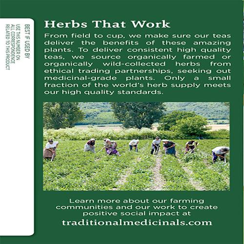 Traditional Medicinals licorice root herbal tea box back panel with farm community photo