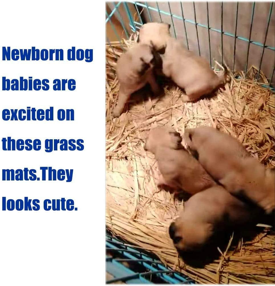 Grass woven bed mat in a pen with puppies, straw surface