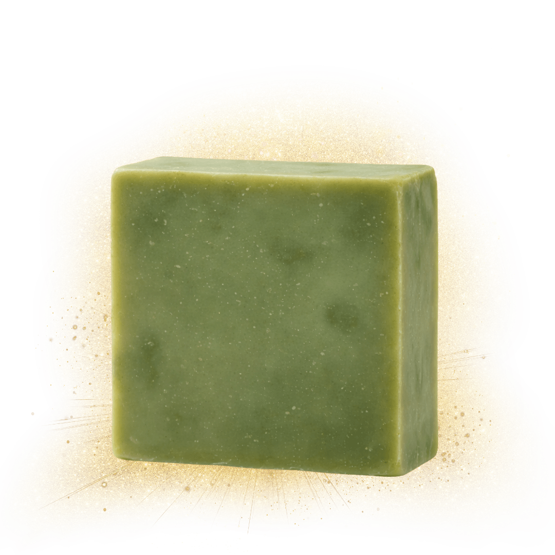 Close-up green shampoo bar square block with glossy texture