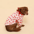 Dog wearing white cotton raglan shirt with red heart print and red neck trim