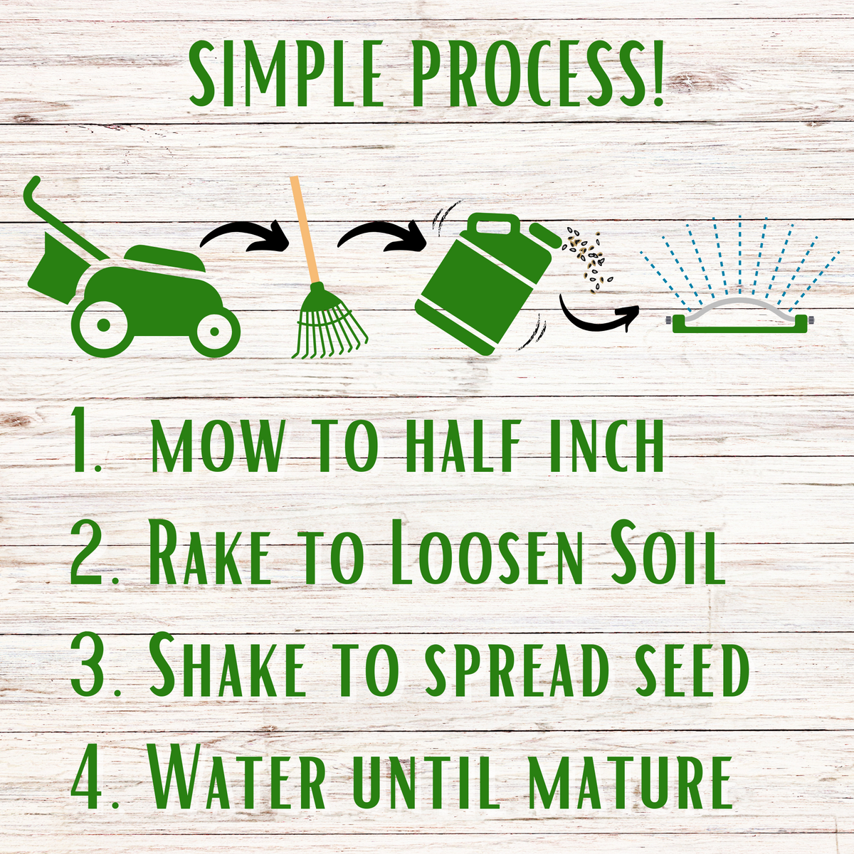 Lawn seeding process infographic with tools and steps to mow, rake, shake, and water