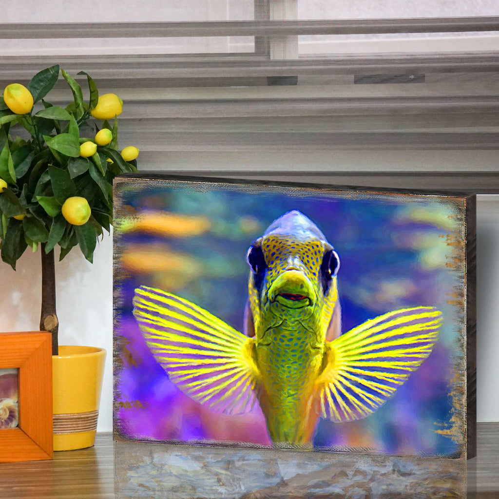 Tropical fish wall art in a dark wood frame, colorful winged fish illustration.
