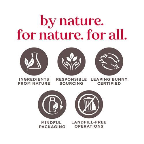 Brand values icons graphic with ingredients, sourcing, and packaging symbols