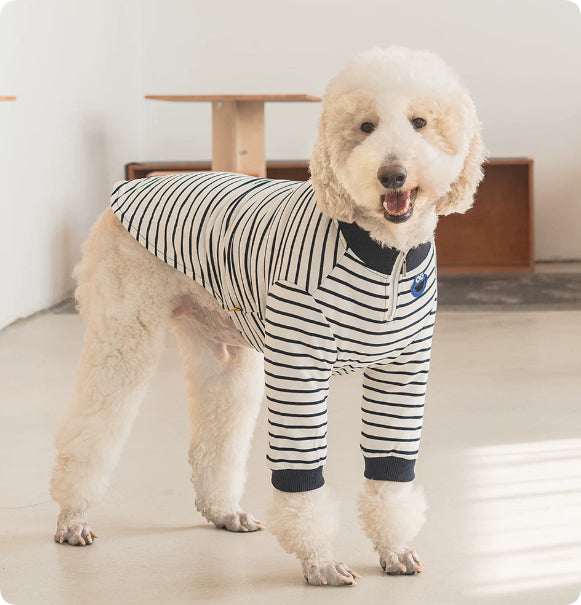 Striped thermal pet jumpsuit with navy cuffs and zip-up collar
