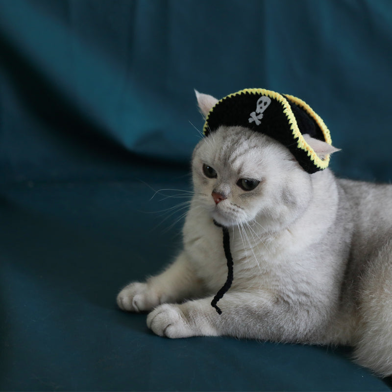 Handmade pirate pet hat on cat, black with yellow trim, skull emblem, dangling ties