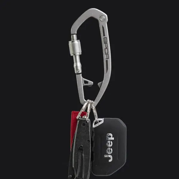 Dog leash carabiner clip with gray metal hardware, with key-tag holder attached.