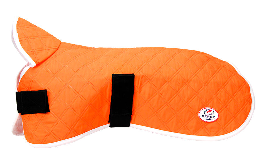 Orange dog cooling jacket laid flat with black strap closures and Derby logo patch