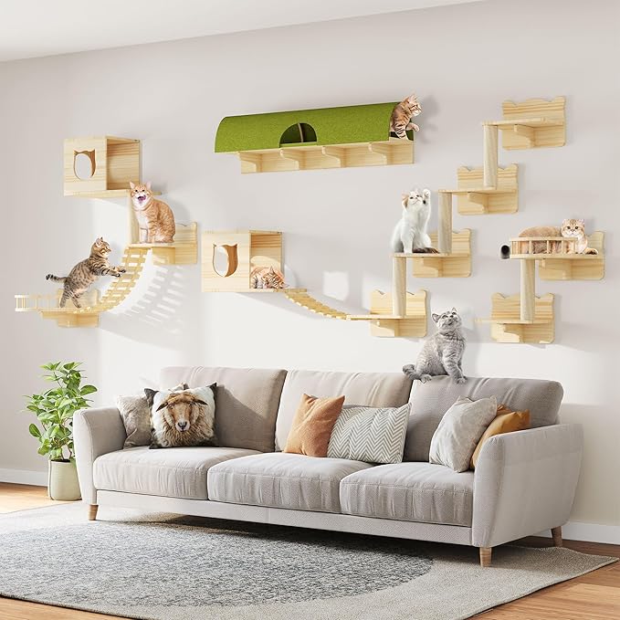 Cat wall shelf set with light pine platforms and green tunnel mat, with cats