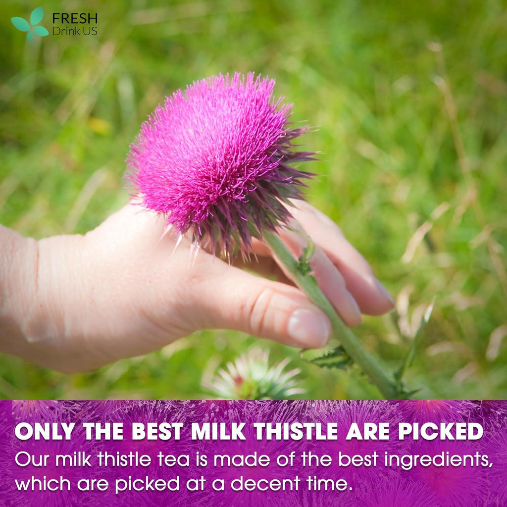 Milk thistle flower held in hand in an outdoor grassy field
